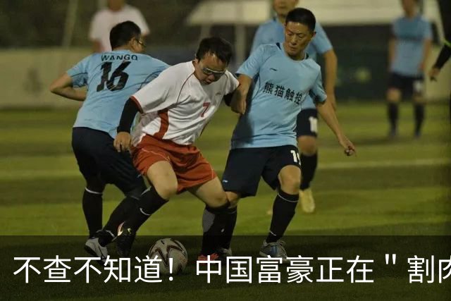 不查不知道！中国富豪正在＂割肉＂补税，卢麒元的话终于有人信了