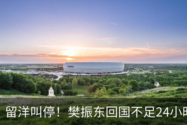 留洋叫停!樊振东回国不足24小时,官宣新身份,总算盼来这一天